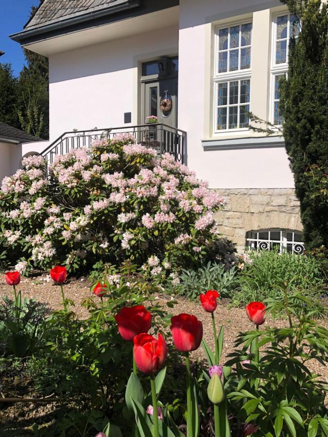 Villa Rosa - Sky Detmold Bagian luar foto